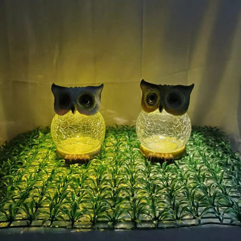 Solar Owl Light
